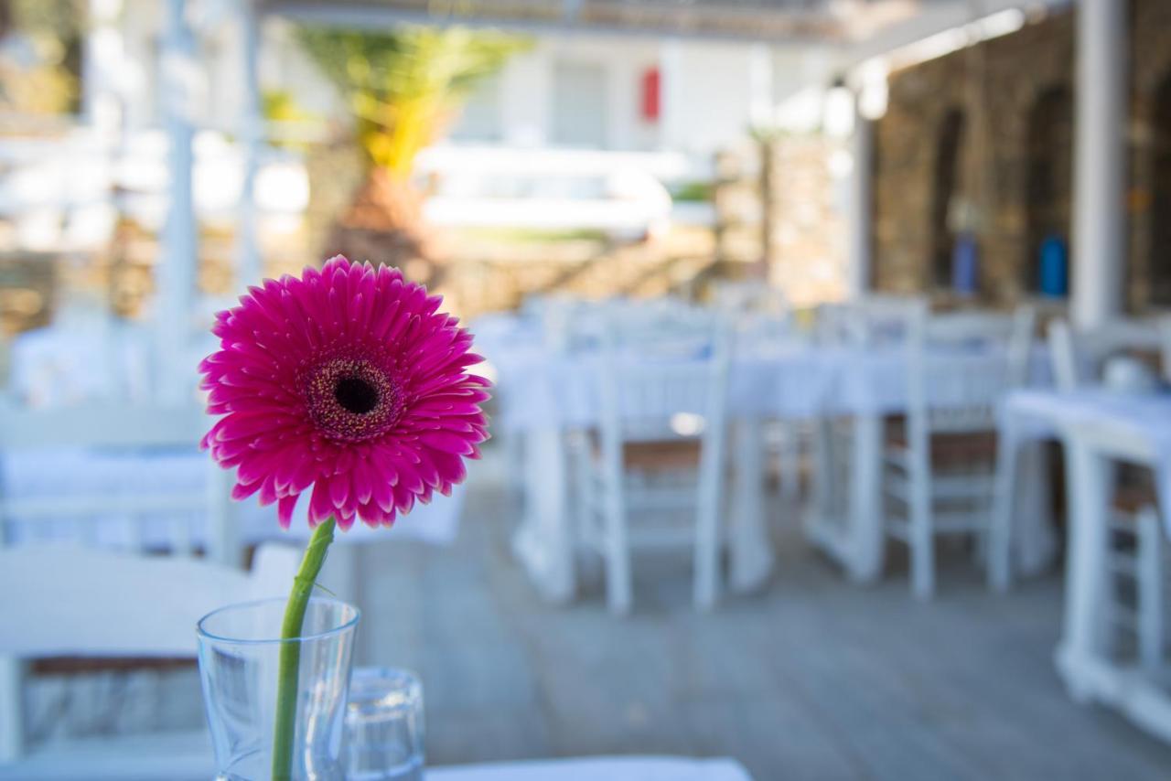 Platis Gialos  Villa Irini מראה חיצוני תמונה